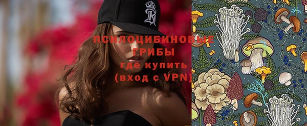 спиды Аркадак